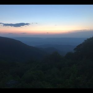 Meet your Posher, Sunny